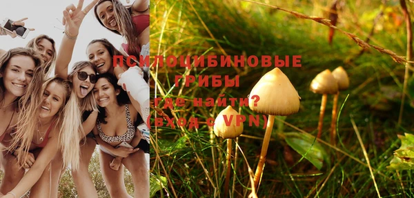 метадон Богородицк